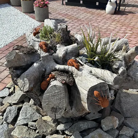 Отель Ambiente 3*